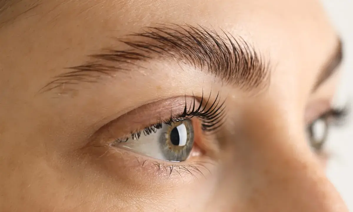 Un œil et un sourcil bien définis. Le secret pour savoir comment faire pousser ses sourcils en 1 nuit ? Une routine beauté ciblée.