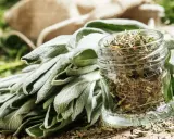 Un bouquet de feuilles de sauge officinale fraîche à côté d'un bocal rempli de sauge séchée. Les bienfaits de la sauge officinale sont nombreux.