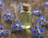 Flacon d'huile de bourrache, entouré de fleurs bleues sur fond de bois. Découvrez les bienfaits de l'huile de bourrache pour le visage.