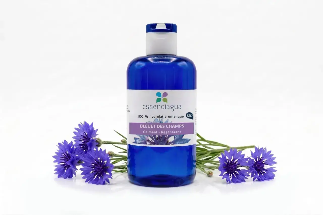Bouteille bleue d'eau de bleuet des champs, entourée de fleurs de bleuet. Ce produit naturel, sans danger, est un hydrolat aromatique bio.